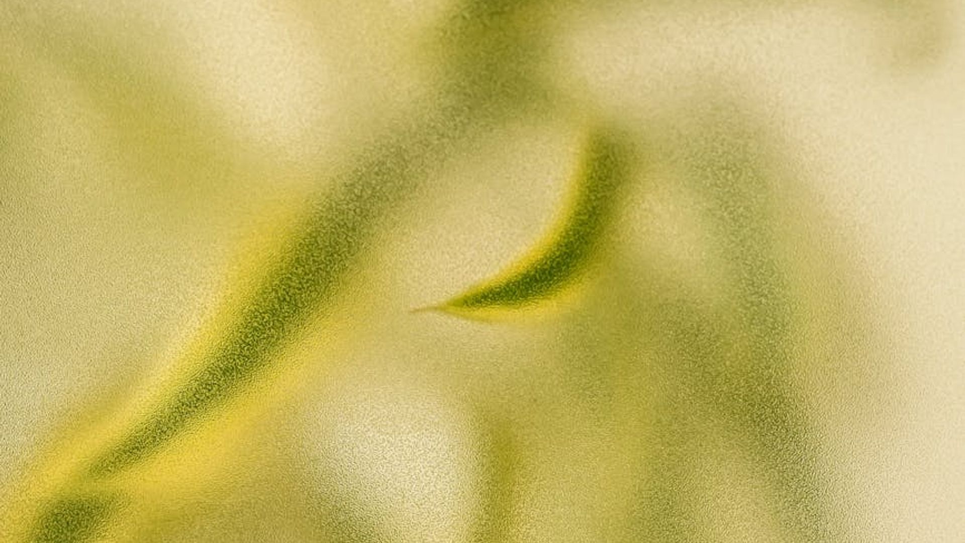 A serene abstract background suggesting calm and harmony.